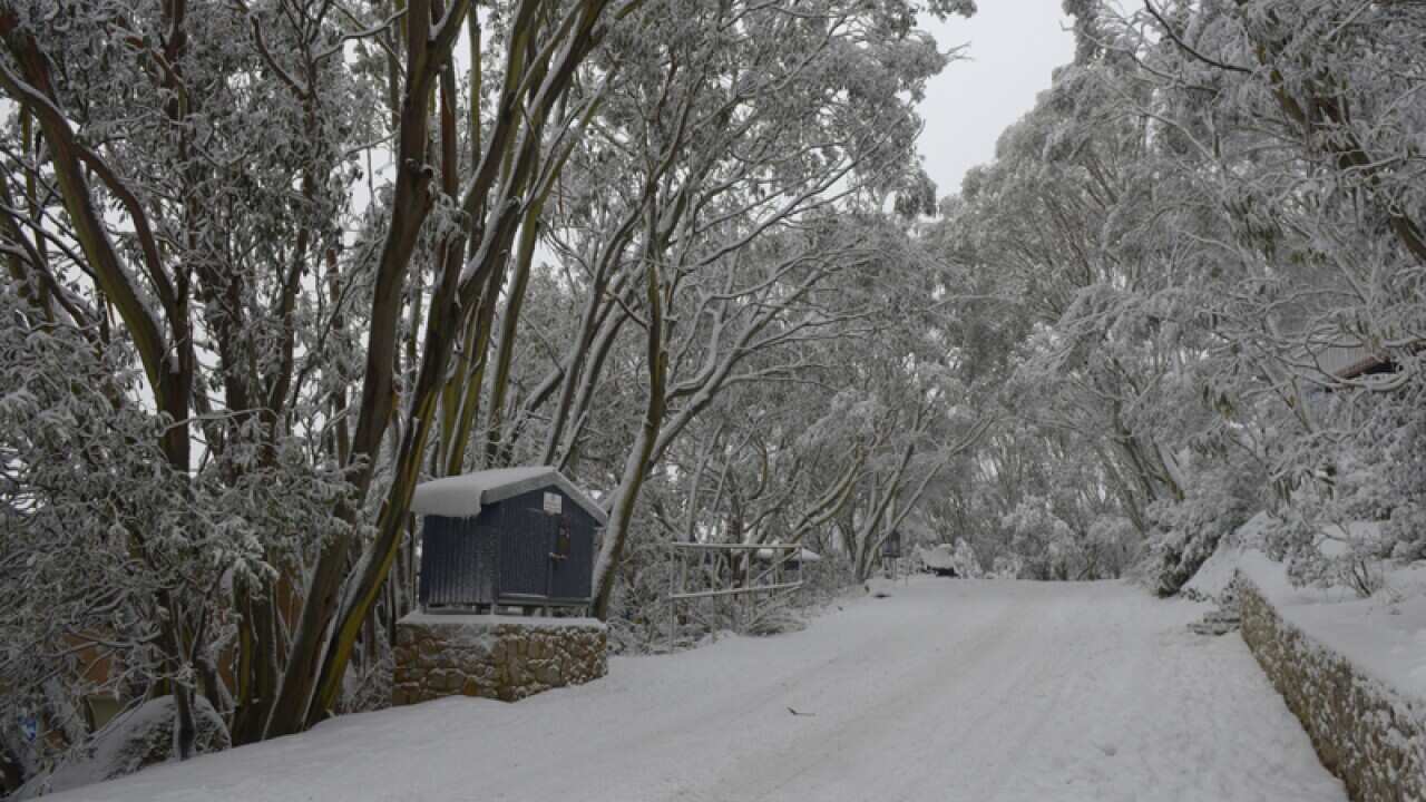 A snow covered road leading to Falls Creek resort, north of Melbourne