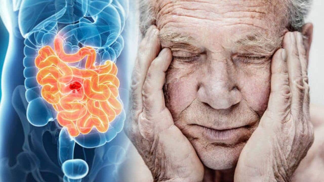 Image for read more article 'READ MORE'