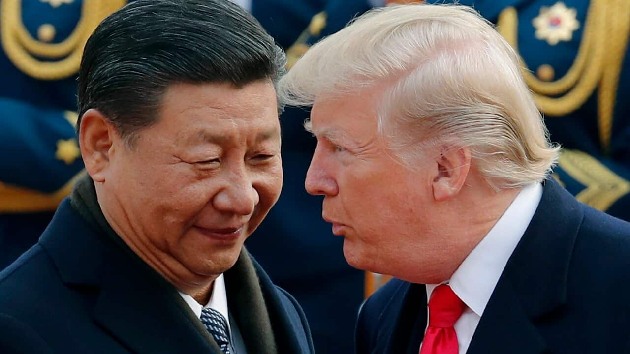 Donald Trump,Xi Jinping