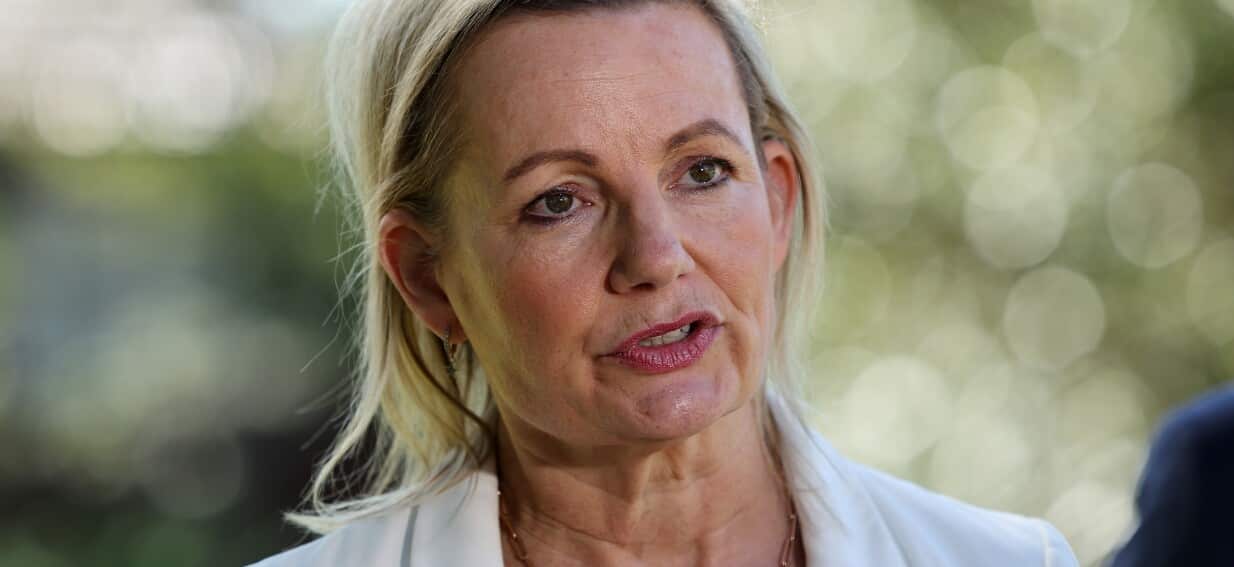 'It's a big job': Ley backtracks on calls for Kevin Rudd to step down as US ambassador
