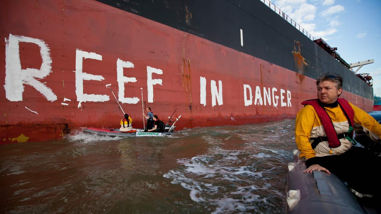 Activists paint the message 'Reef in Danger' on the side of coal ship Chou San in Gladstone, Australia. (Getty)