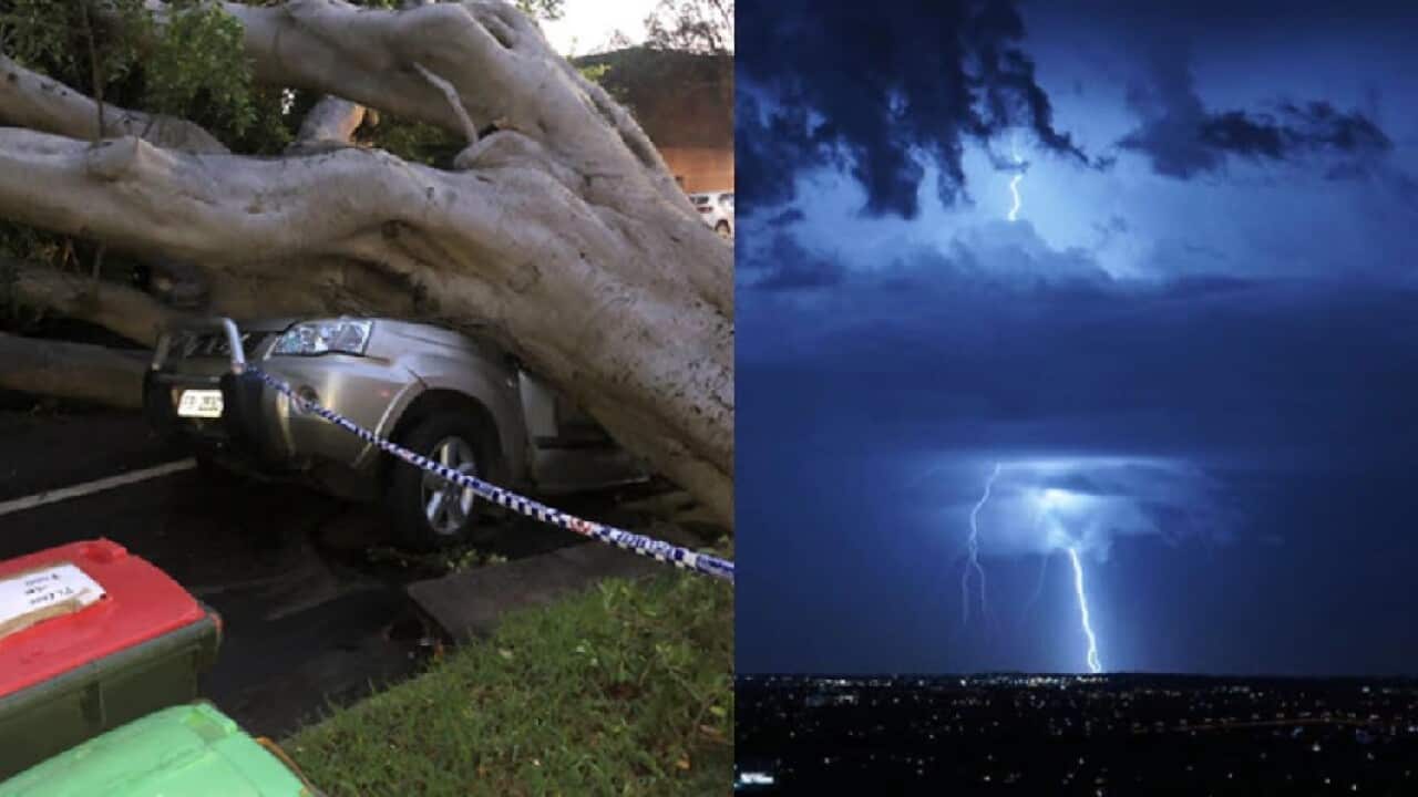 NSW weather