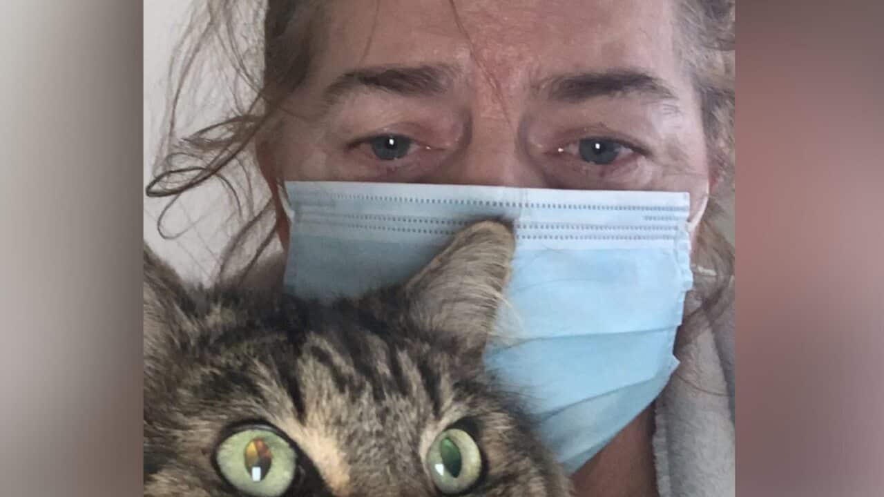 Image for read more article 'ТЕКСТОВАЯ ВЕРСИЯ ЗДЕСЬ:'