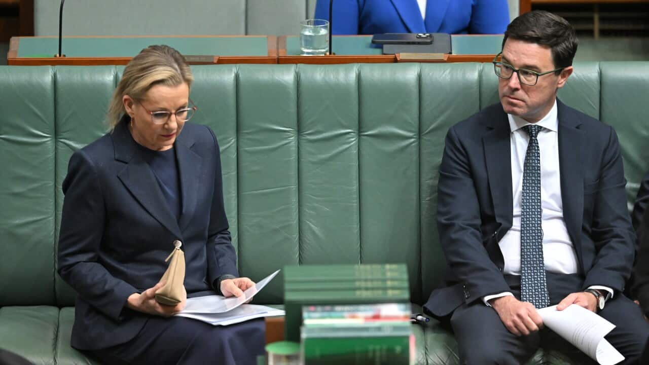 Two politicians seated on green benches in parliament, reading documents during a session.