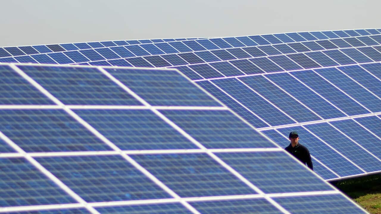 A solar garden in Colorado, US