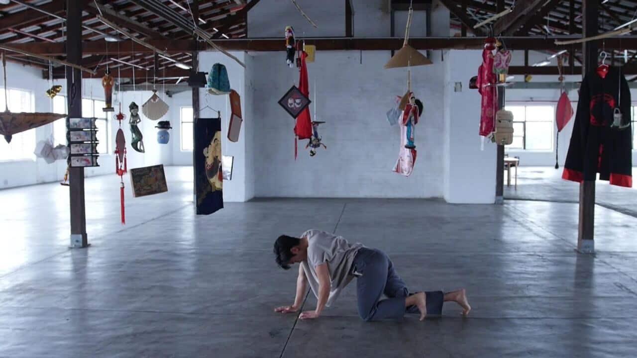 zachary lopez, dance, iamnotavirus
