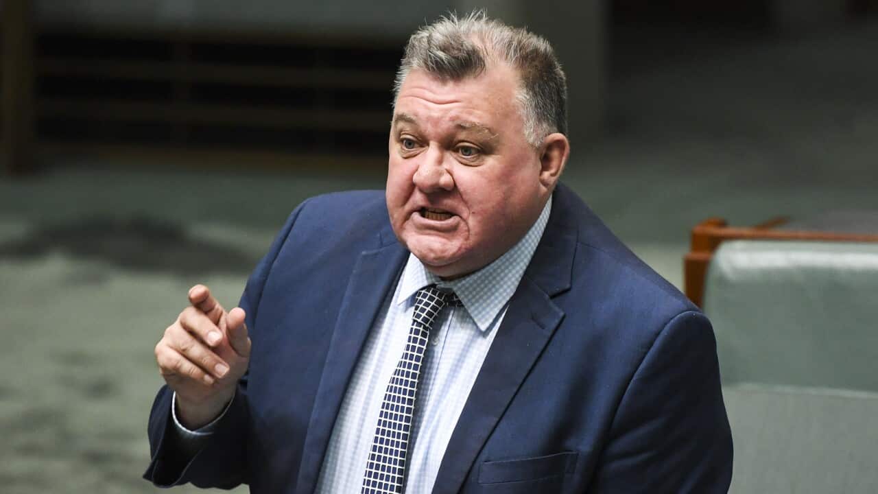 Liberal MP Craig Kelly speaks ahead of House of Representatives Question Time at Parliament House in August 2020.