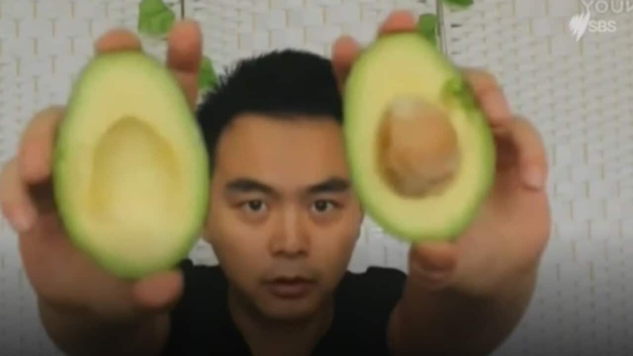 Smashing the 'butter fruit' Australia looks to feed China's growing