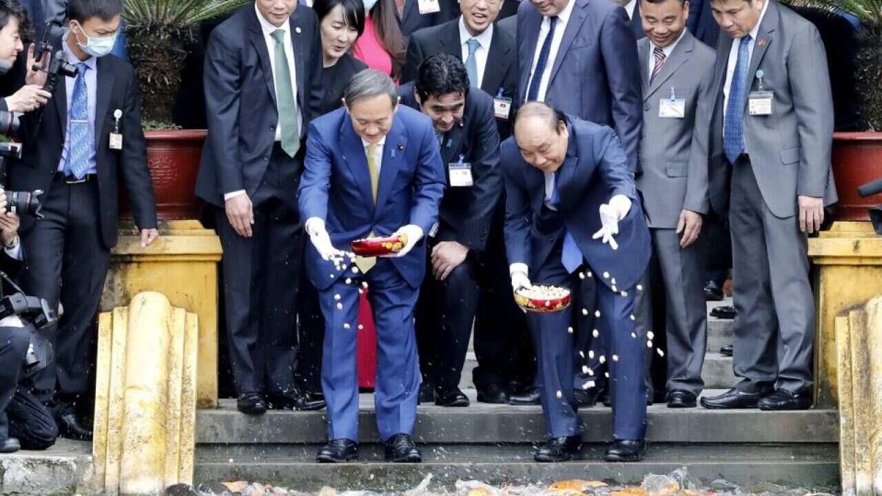 Japanese Prime Minister Yoshihide Suga (C-L) and his Vietnamese counterpart Nguyen Xuan Phuc (C-R) feed the fish by a pond at the Presidential Palace 19/10/2020