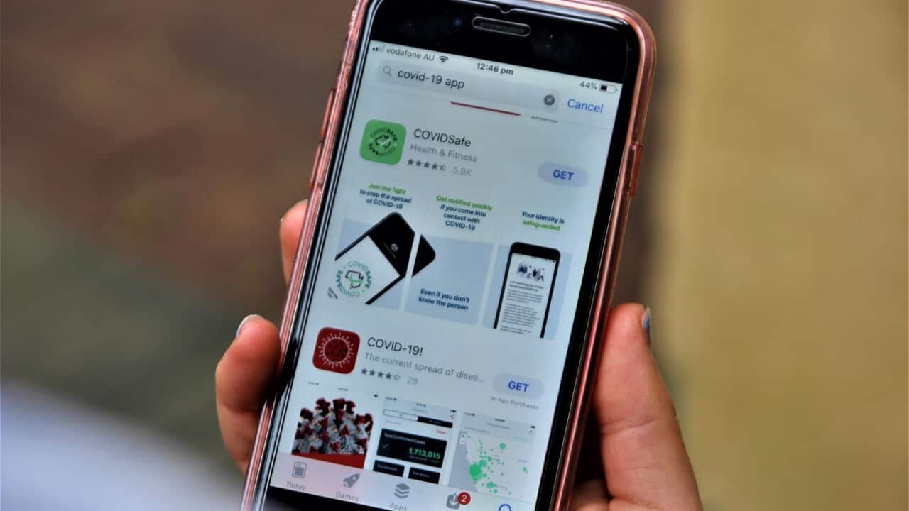 A user looks at the new CovidSafe app