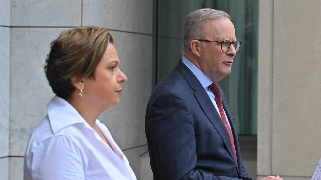 ANTHONY ALBANESE SOCIAL MEDIA PRESSER