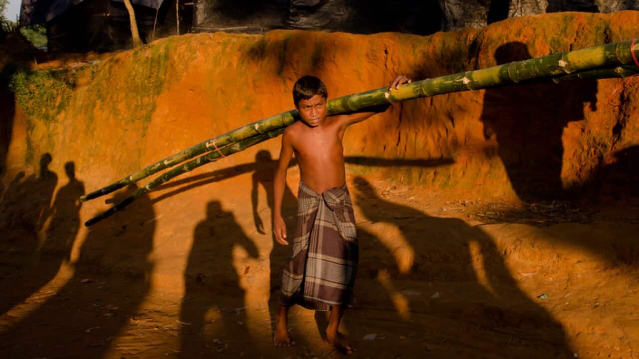 A Rohingya Muslim boy, who crossed over from Myanmar into Bangladesh