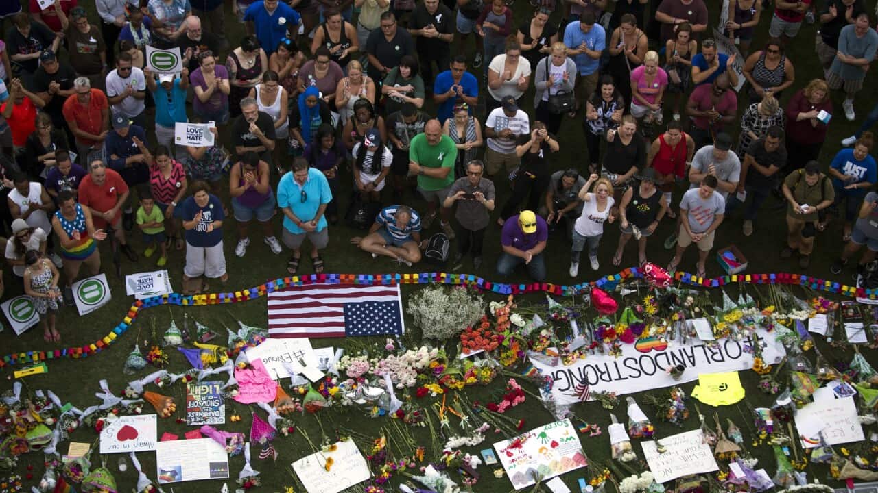 Orlando, vigil, birds 