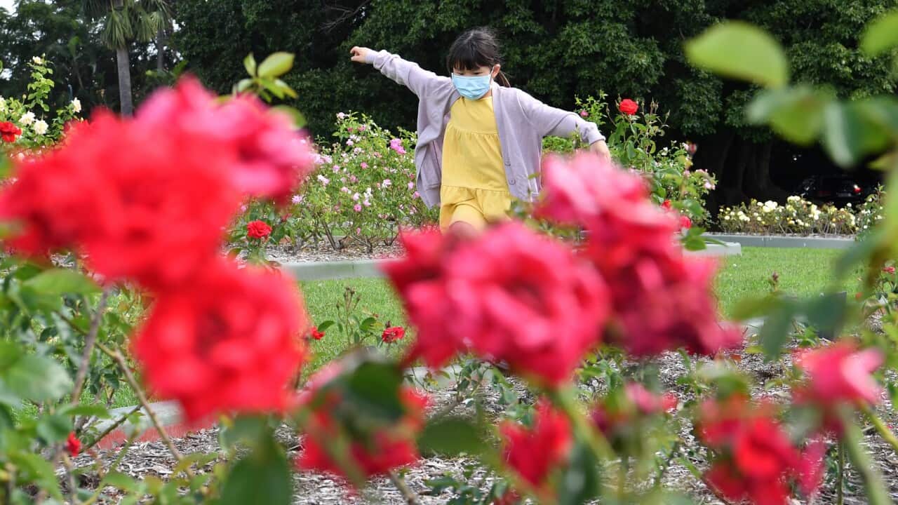Child playing in the Garden