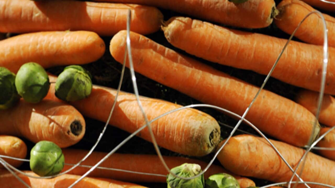 carrots_L_1606_getty_865796108