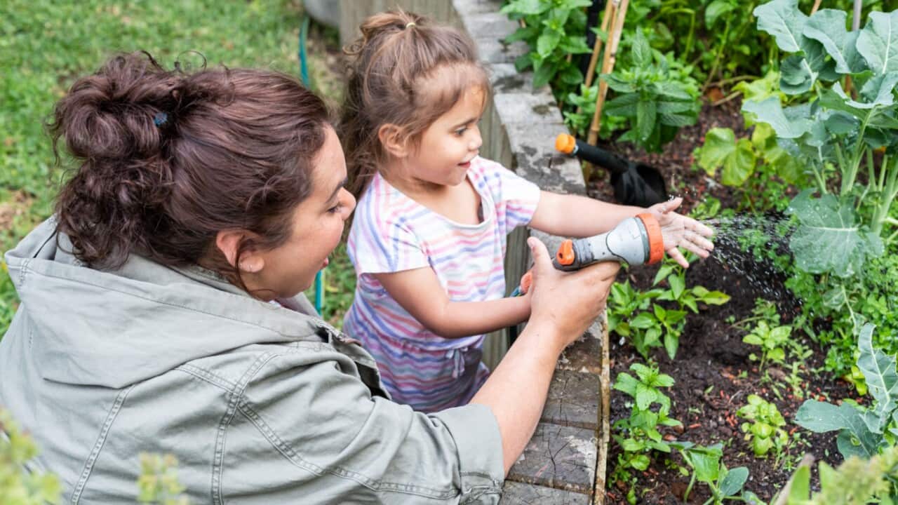 Turning summer backyard garden into a winter garden