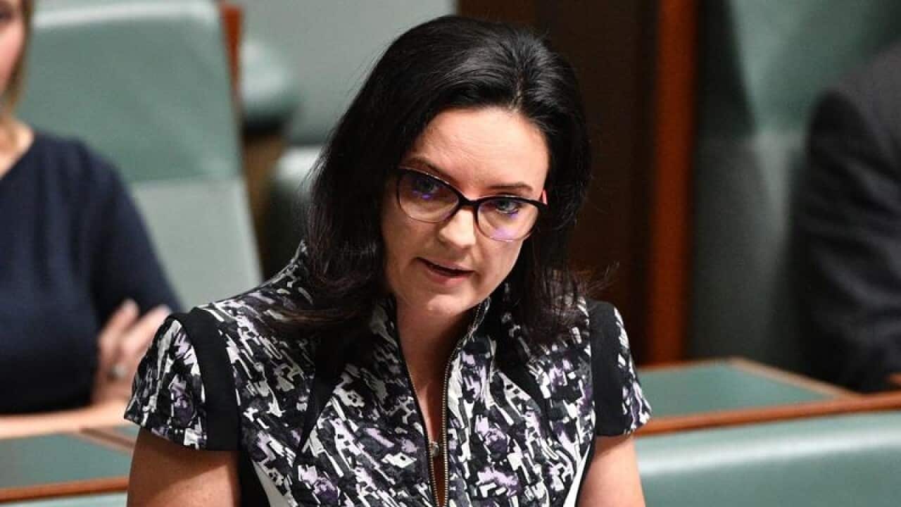 Federal Labor MP Emma Husar has defended her trip.