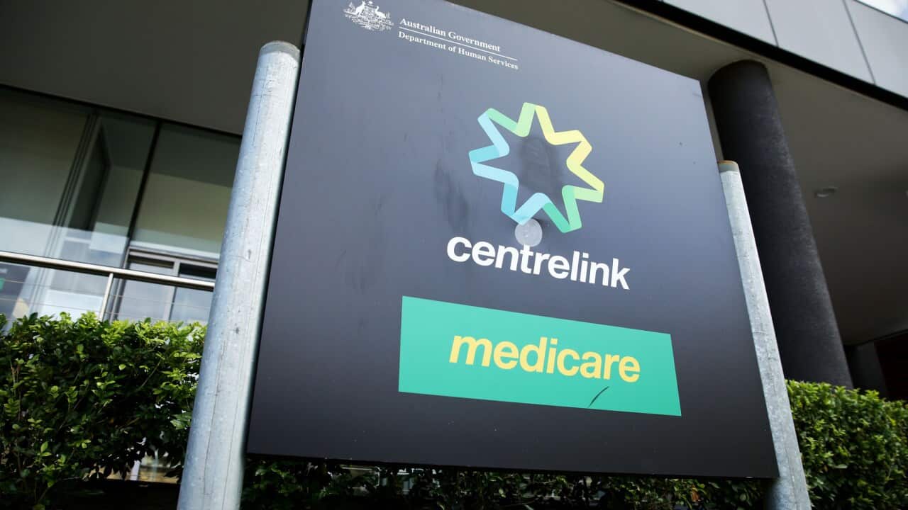 Government Services