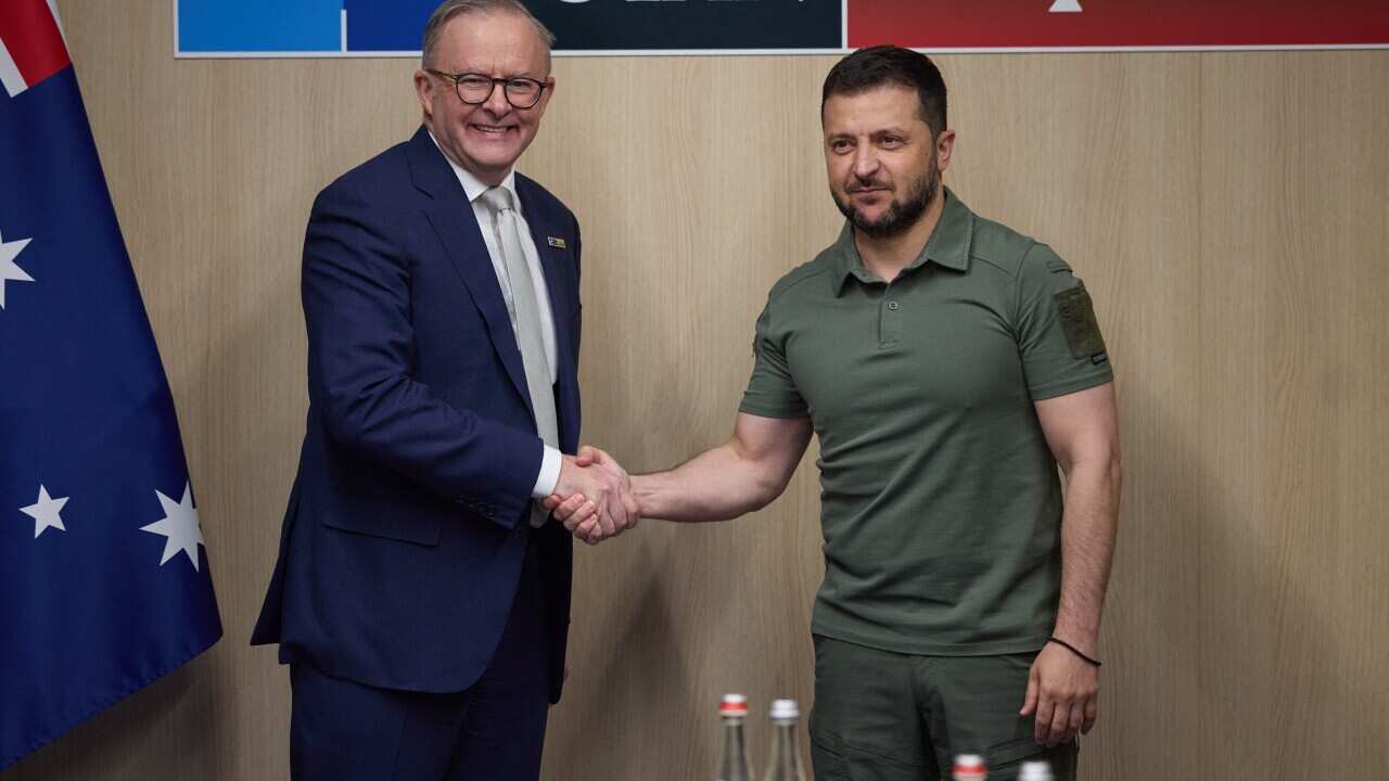 Anthony Albanese says Australia will send Ukraine 30 more Bushmasters