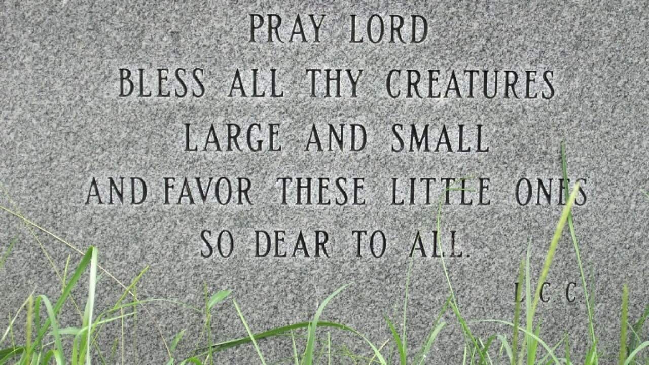 Image for read more article ''