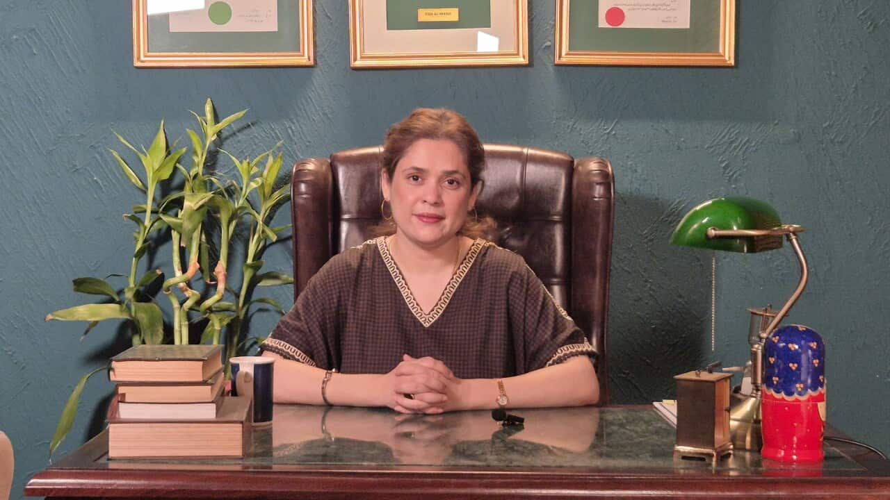 Fizza Ali Meerza is one of the most successful Pakistani female film producers and screenwriters.