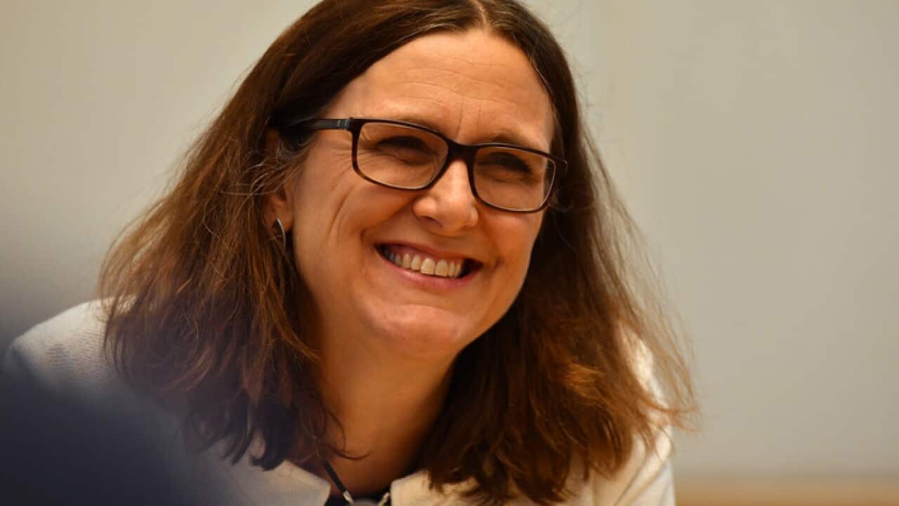 European Union trade commissioner Dr Cecilia Malmstrom