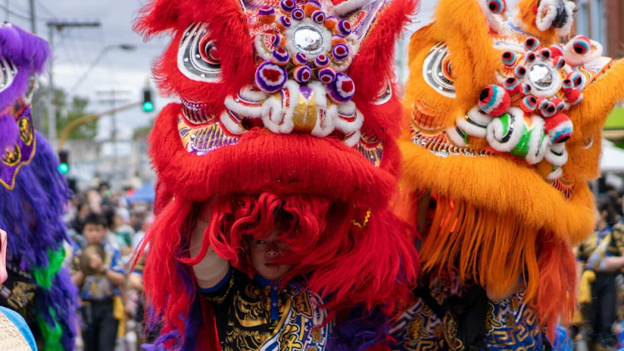 Image for read more article 'READ MORE'