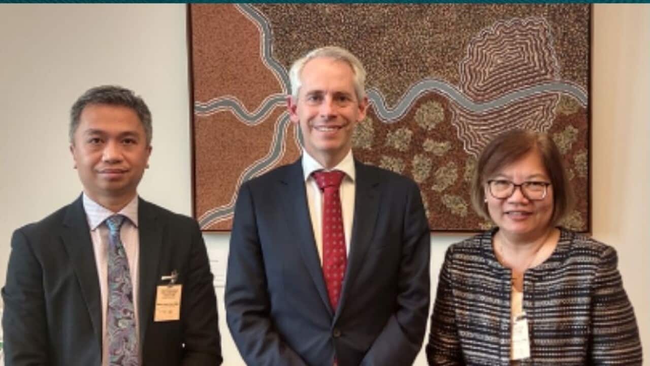 DFA DELE VEGA edited.jpg