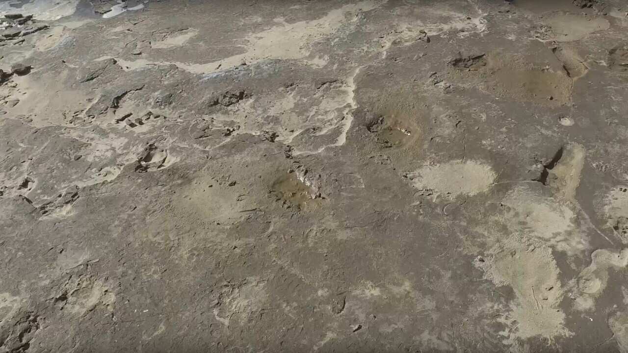 Ancient footprints at Formby in the UK