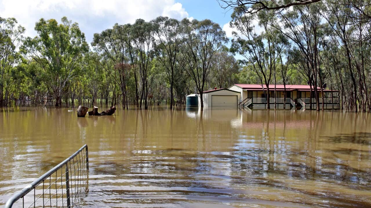 Повінь у селі Ечука(AAP).jpg