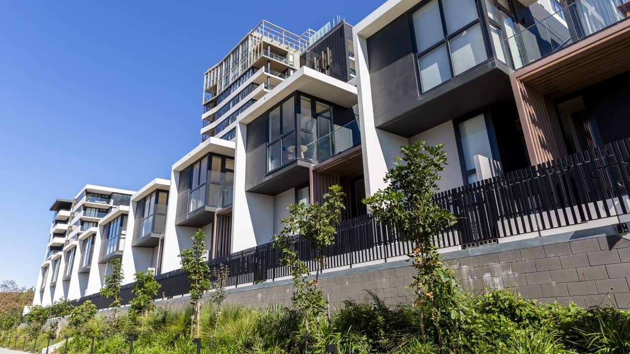 Image for read more article 'READ MORE'