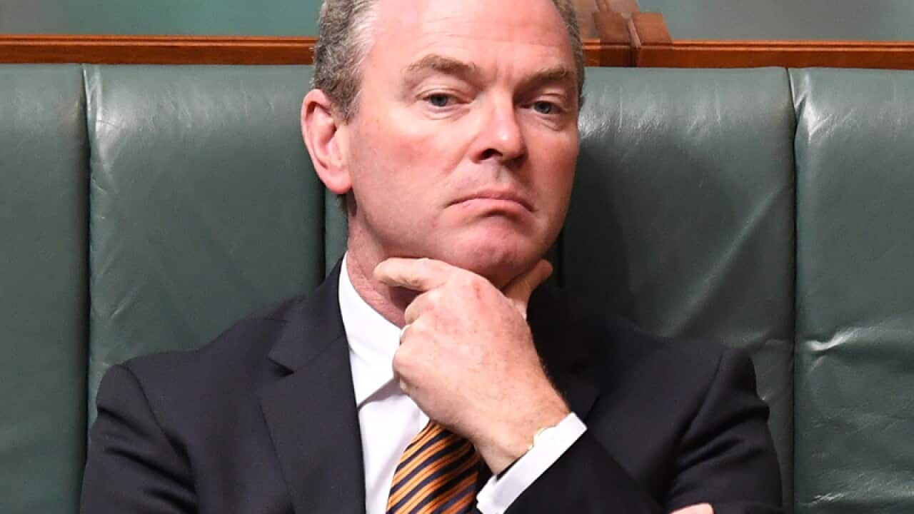 File image of Christopher Pyne