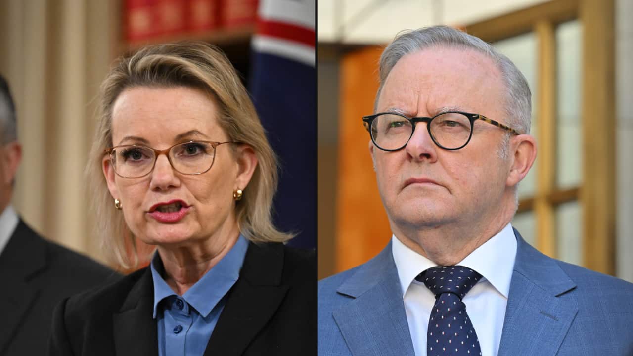 A split image of two politicians in blazer jackets, with the Opposition leader Sussan Ley on the left and prime minsiter Anthony Albanese on the right.
