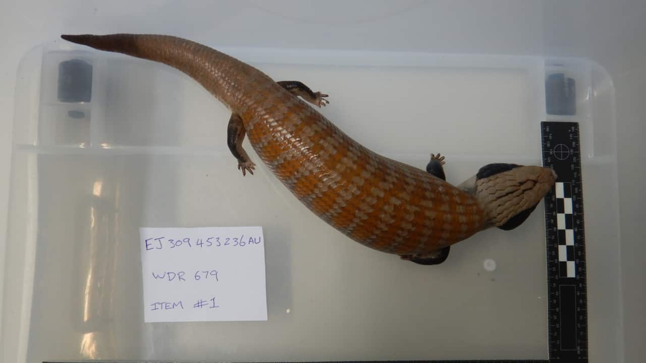 Image for read more article ''