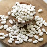 Семињата се драгоценост што се чува во специјални генетски банки