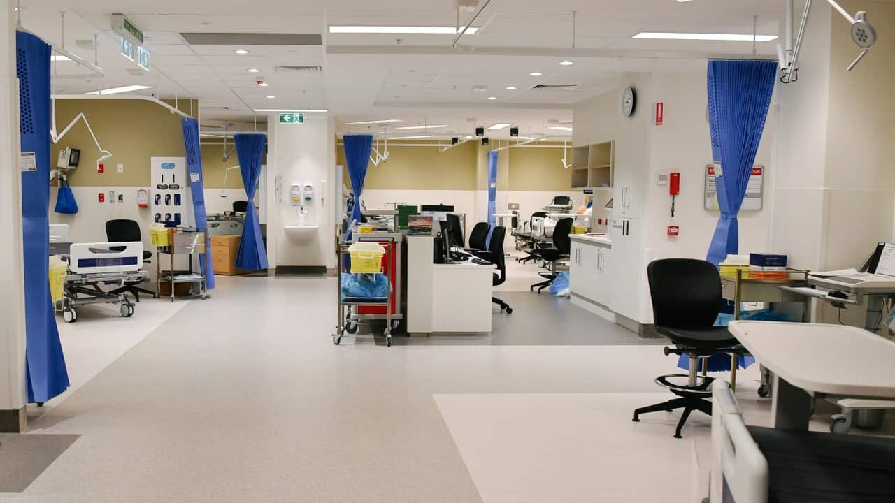 Image for read more article 'READ MORE'