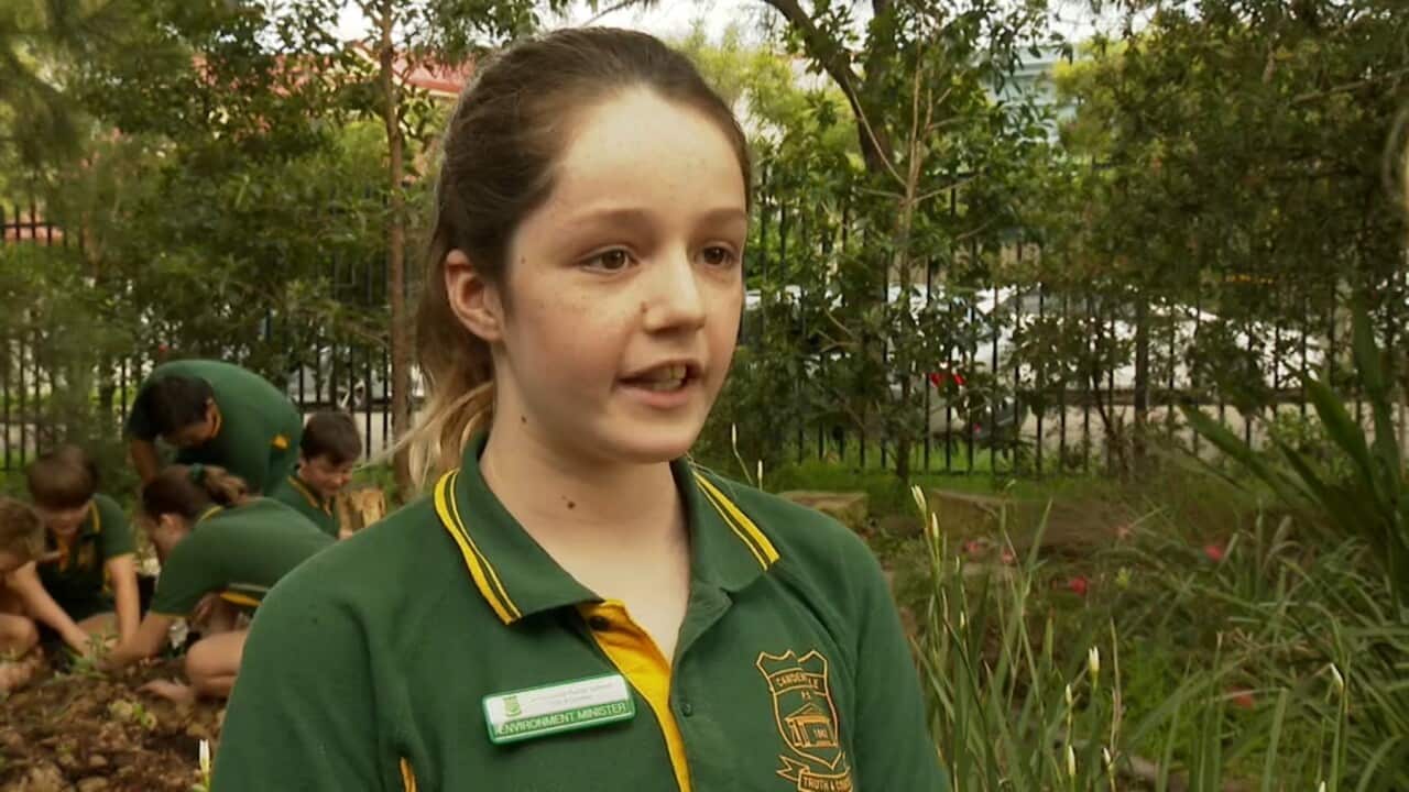 Catriona Gahan from Camdenville Public School