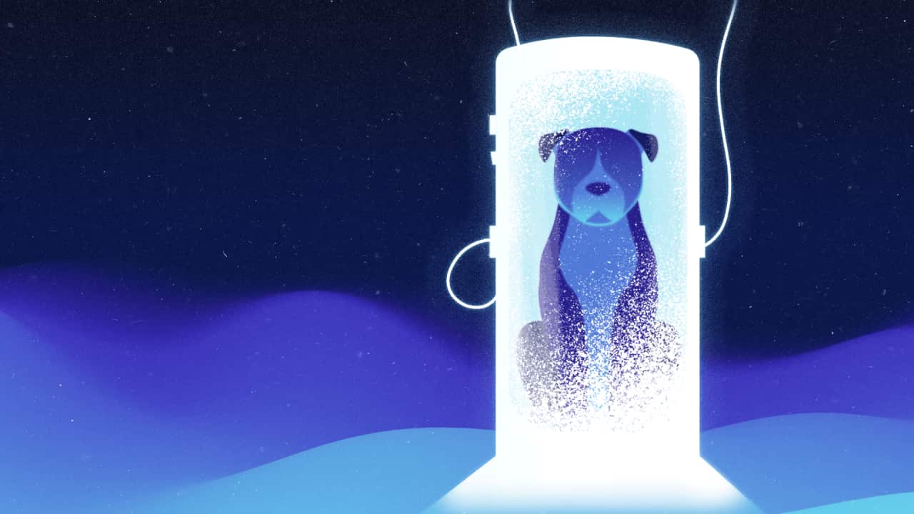 An animated image of a dog frozen in a capsule.