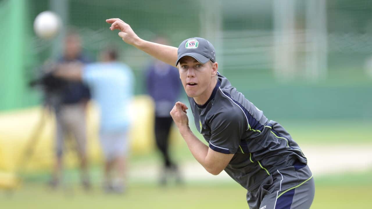 cricket_doherty_aap_131008