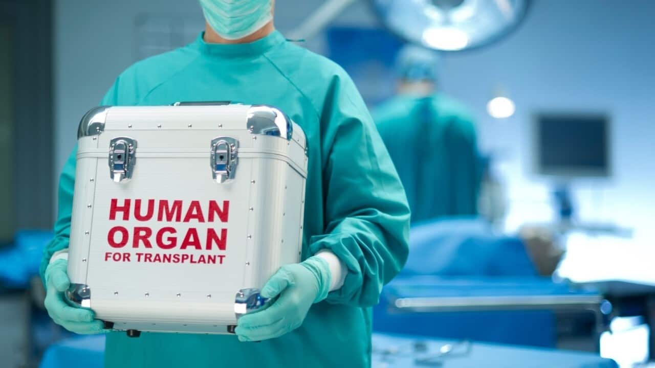 Australia: Itaas ang Kamalayan sa Donasyon ng Organ! Pilipinas Nagbabala sa Paglalakbay sa Thailand at Cambodia