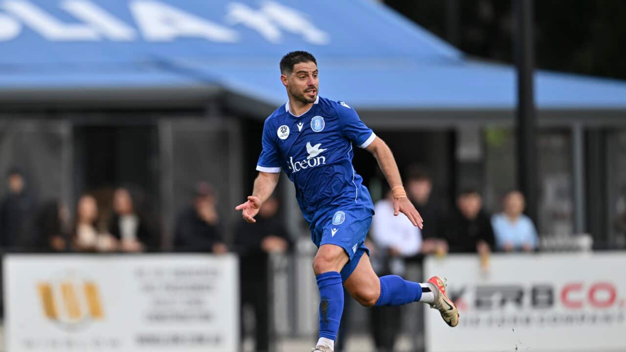 Australian Championship | Round 5 | Avondale FC v NWS Spirit FC