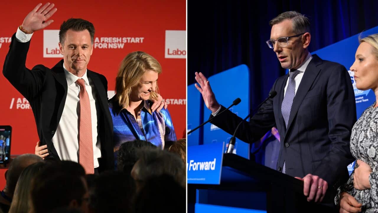 CHRIS MINNS DOMINIC PERROTTET DIPTYCH