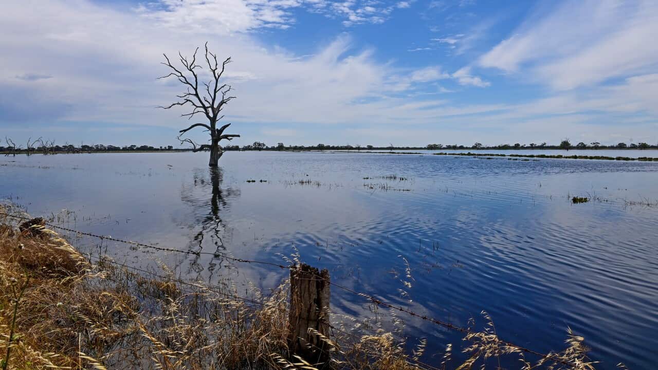 A flooded farm.
