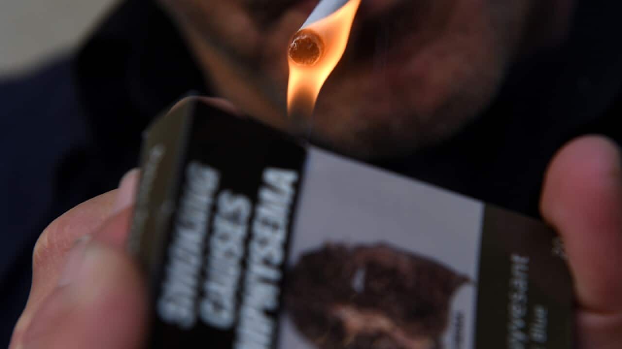 Image for read more article 'More reading'