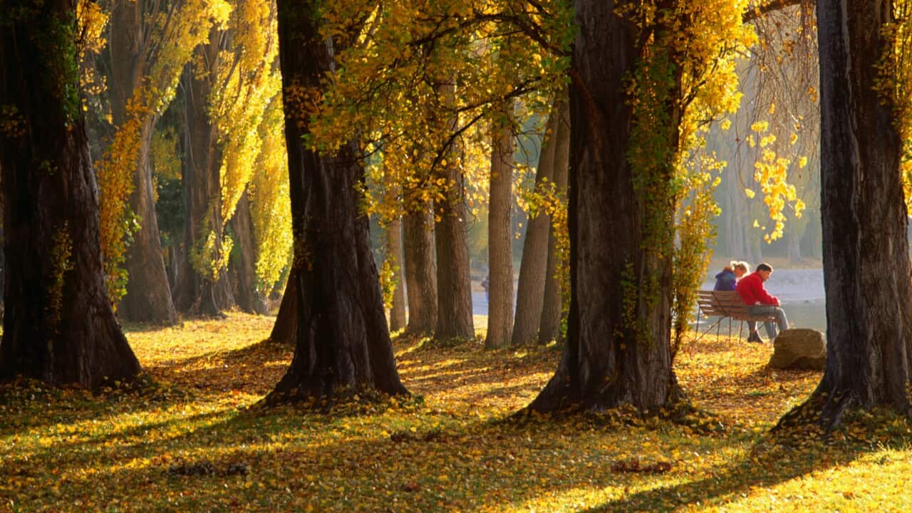 Couple sitting on bench in autumn, Lake Wanaka, Low angle view, Wanaka, New Zealand