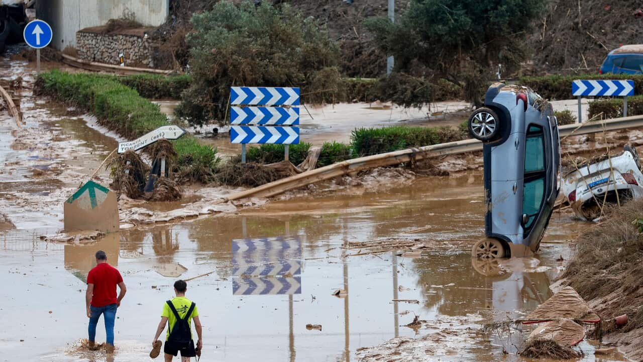 Image for read more article 'Contenido relacionado:'