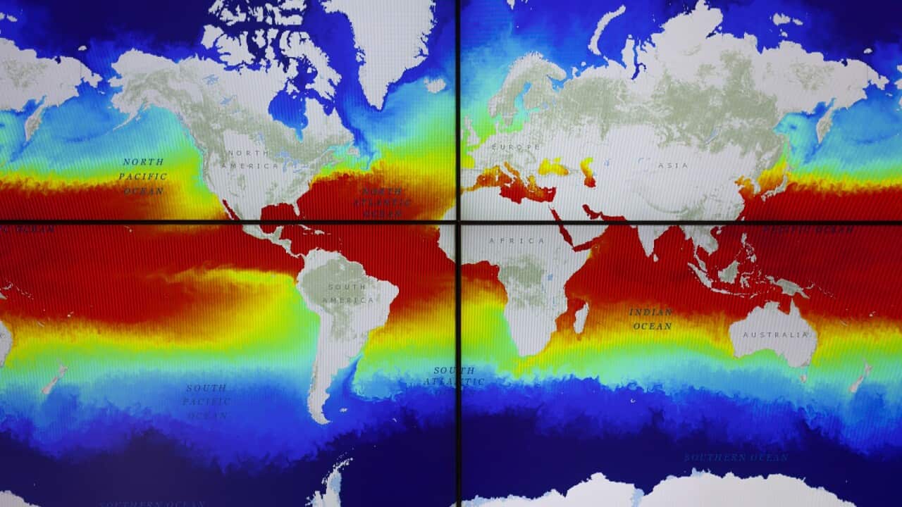 Screens at the Euro Mediterranean Centre on Climate Change in Italy