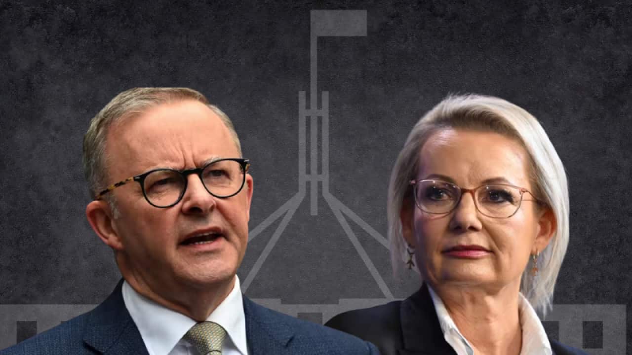 Australian Politics Wrap 2025