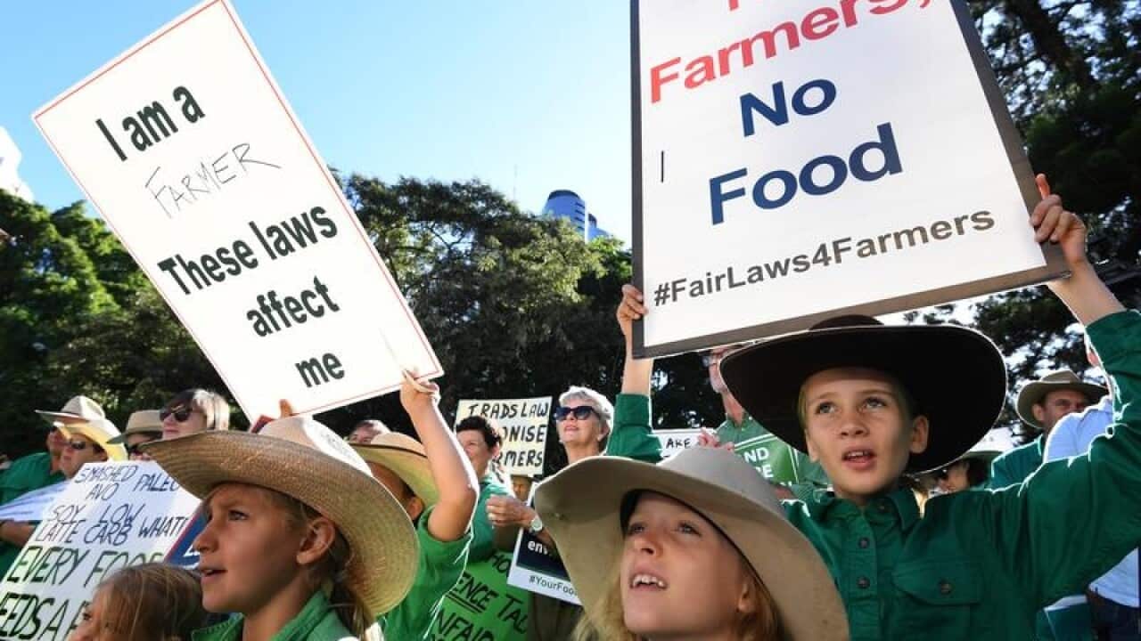 Farmers and their supporters protest outside Parliament House