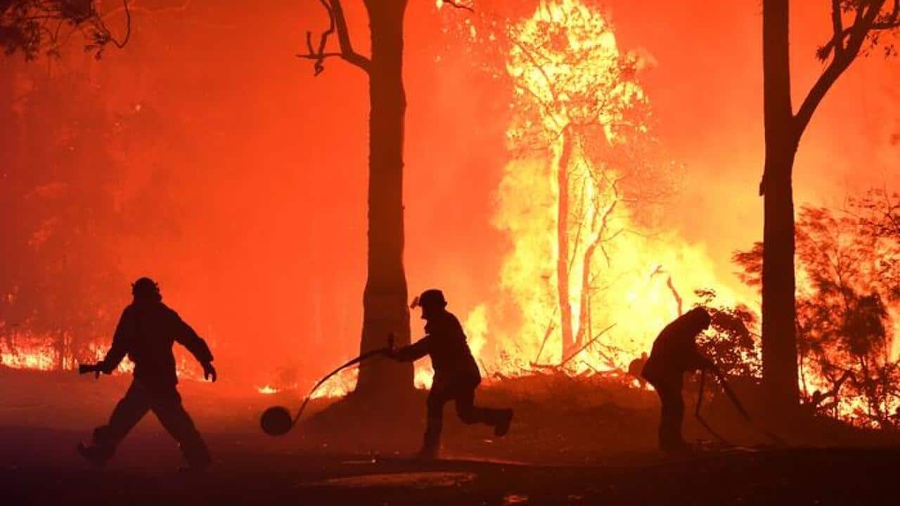 Fire danger.jpg